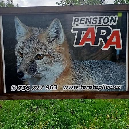 Pension Tara Teplice nad Metují Zewnętrze zdjęcie