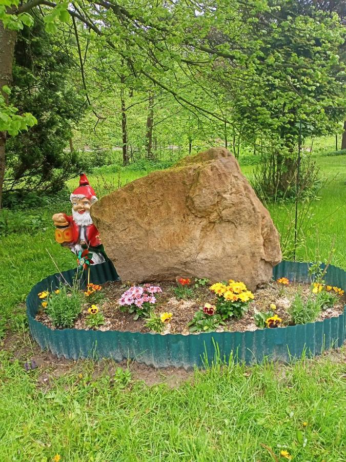 Pension Tara Teplice nad Metují Zewnętrze zdjęcie