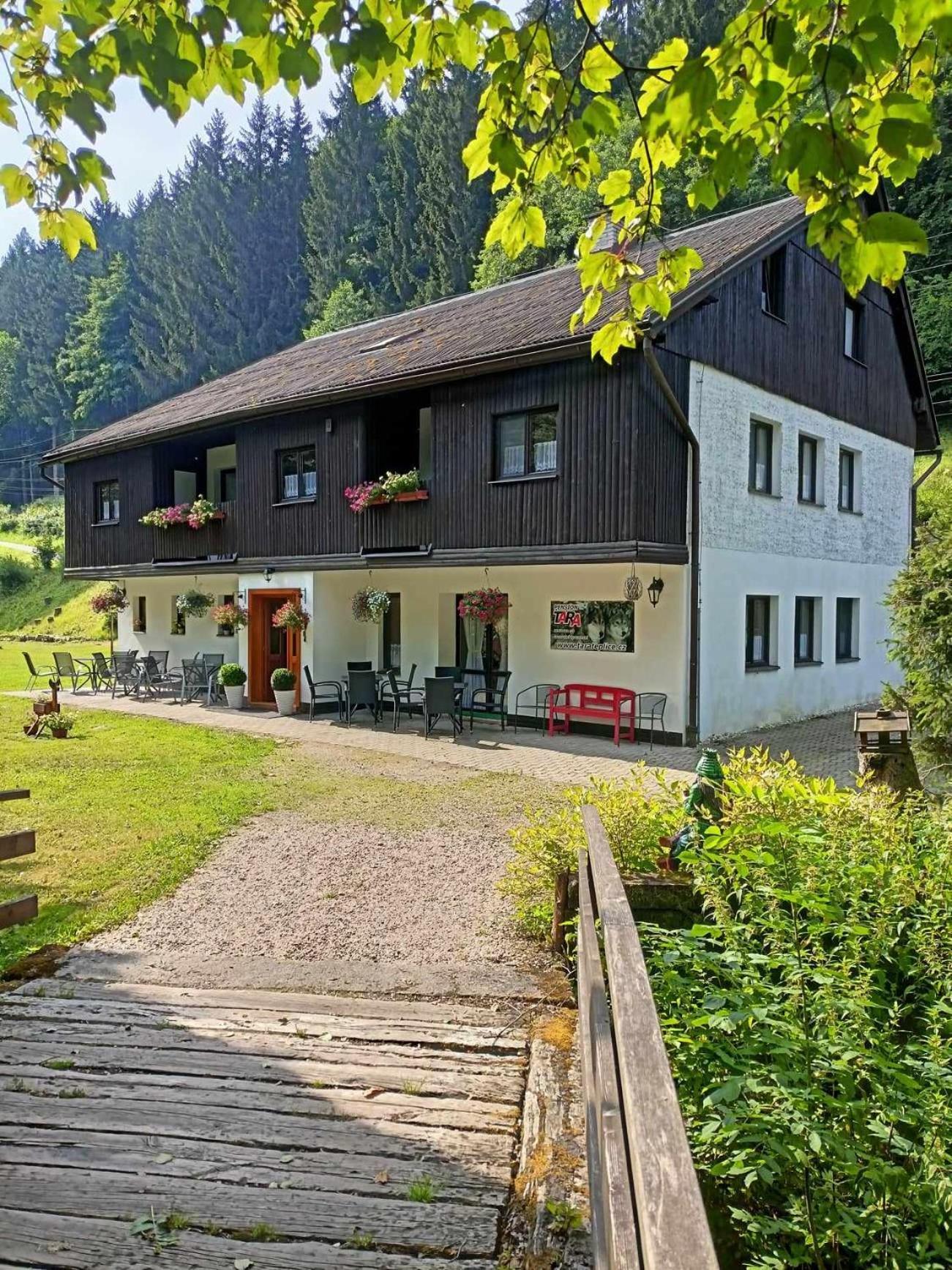Pension Tara Teplice nad Metují Zewnętrze zdjęcie